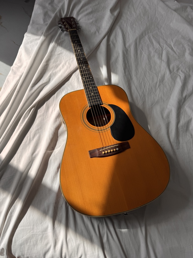 Guitar